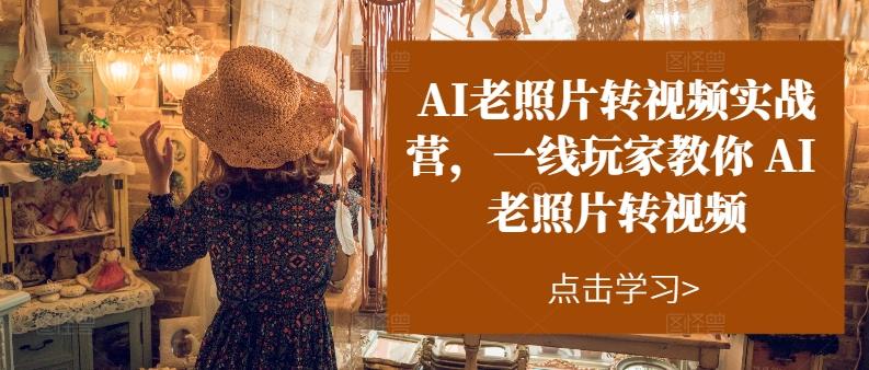 AI老照片转视频实战营，一线玩家教你AI老照片转视频-蚂蚁汇资源分享项目网