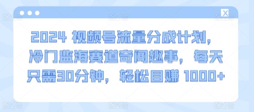 2024视频号流量分成计划，冷门监海赛道奇闻趣事，每天只需30分钟，轻松目赚 1000+【揭秘】-蚂蚁汇资源分享项目网
