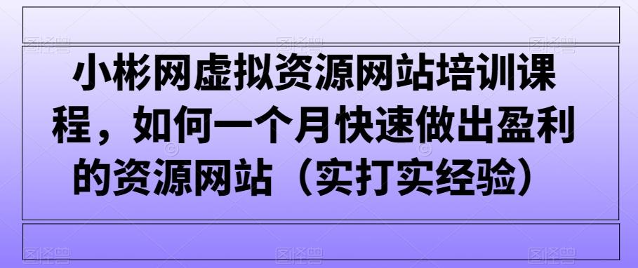 小彬网虚拟资源网站培训课程，如何一个月快速做出盈利的资源网站(实打实经验)-蚂蚁汇资源分享项目网