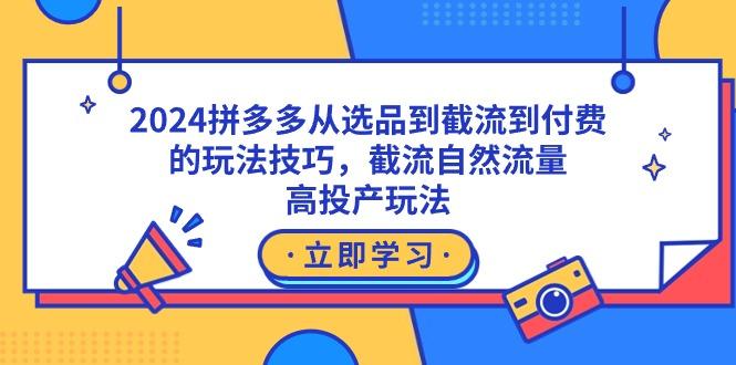2024拼多多从选品到截流到付费的玩法技巧，截流自然流量玩法，高投产玩法-蚂蚁汇资源分享项目网