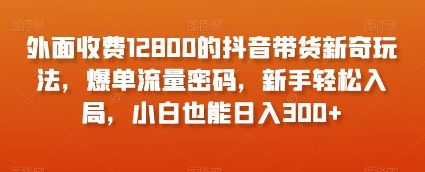 外面收费12800的抖音带货新奇玩法，爆单流量密码，新手轻松入局，小白也能日入300+【揭秘】-蚂蚁汇资源分享项目网