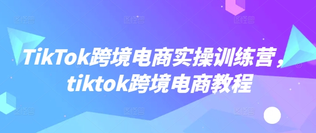 TikTok跨境电商实操训练营，tiktok跨境电商教程-蚂蚁汇资源分享项目网