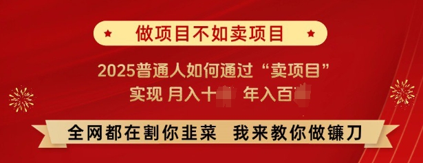 必看，做项目不如卖项目，2025普通人如何通过“卖项目”实现月入十个，年入百个-蚂蚁汇资源分享项目网
