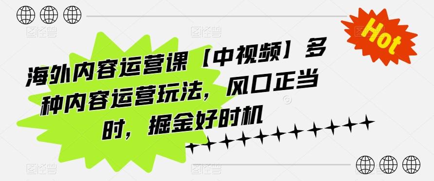 海外内容运营课【中视频】多种内容运营玩法，风口正当时，掘金好时机-蚂蚁汇资源分享项目网