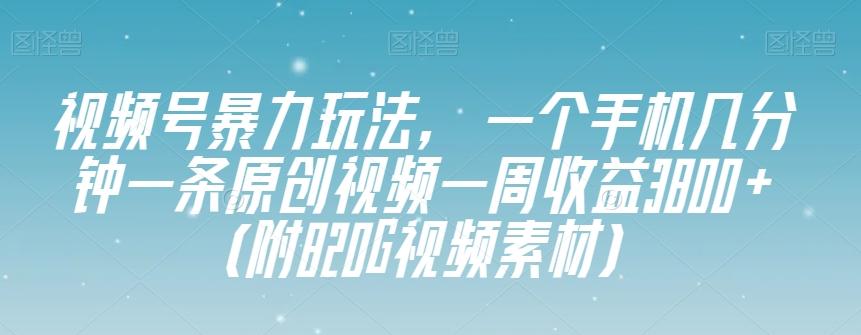 视频号暴力玩法，一个手机几分钟一条原创视频一周收益3800+（附820G视频素材）-蚂蚁汇资源分享项目网