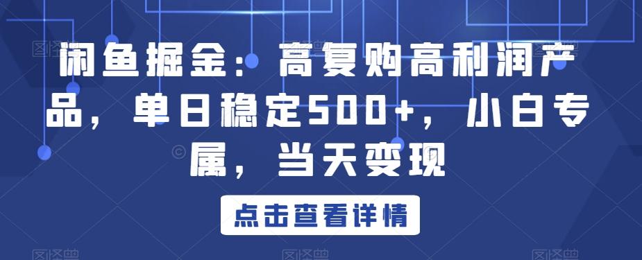 闲鱼掘金：高复购高利润产品，单日稳定500+，小白专属，当天变现-蚂蚁汇资源分享项目网