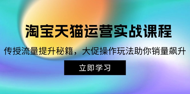 淘宝&天猫运营实战课程，传授流量提升秘籍，大促操作玩法助你销量飙升-蚂蚁汇资源分享项目网