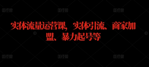实体流量运营课，实体引流、商家加盟、暴力起号等-蚂蚁汇资源分享项目网