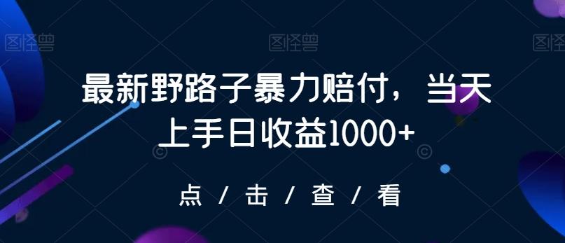 最新野路子暴力赔付，当天上手日收益1000+【仅揭秘】-蚂蚁汇资源分享项目网