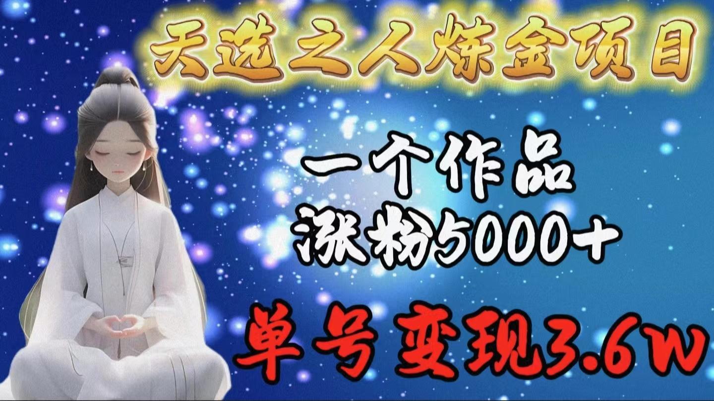 (9693期)天选之人炼金项目，一个作品涨粉5000+，单号变现3.6w-蚂蚁汇资源分享项目网