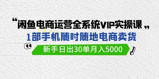 (9547期)闲鱼电商运营全系统VIP实战课，1部手机随时随地卖货，新手日出30单月入5000-蚂蚁汇资源分享项目网