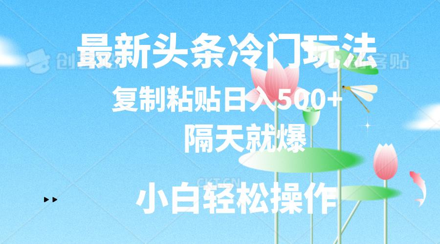 最新头条冷门玩法，隔天就爆，复制粘贴日入500+-蚂蚁汇资源分享项目网