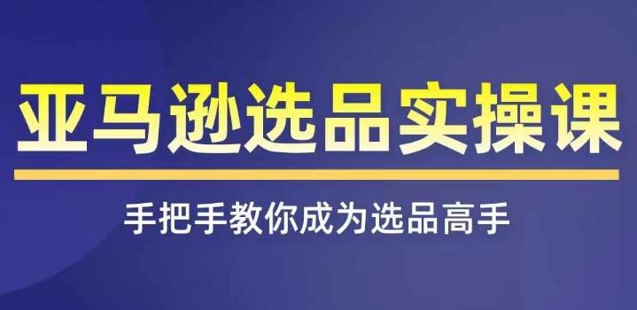 亚马逊选品实操课程，快速掌握亚马逊选品的技巧，覆盖亚马逊选品所有渠道-蚂蚁汇资源分享项目网