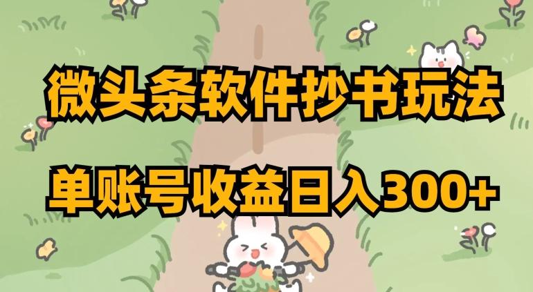 微头条软件抄书玩法，单账号收益日入300+【揭秘】-蚂蚁汇资源分享项目网