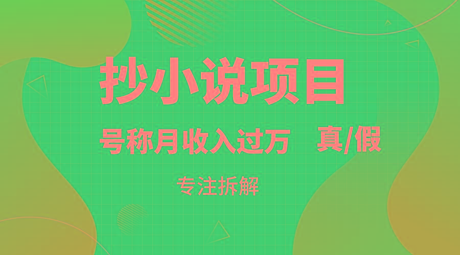 抄小说项目，号称月入过万，到底是否真实，能不能做，详细拆解-蚂蚁汇资源分享项目网
