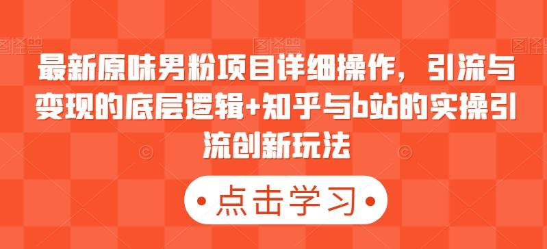 最新原味男粉项目详细操作，引流与变现的底层逻辑+知乎与b站的实操引流创新玩法-蚂蚁汇资源分享项目网