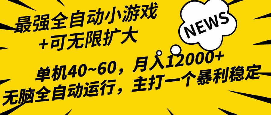 (10046期)2024最新全网独家小游戏全自动，单机40~60,稳定躺赚，小白都能月入过万-蚂蚁汇资源分享项目网