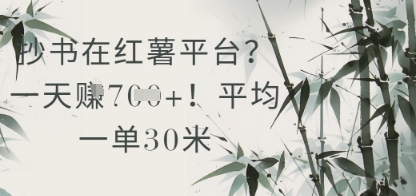 抄书在小红薯平台？平均一单30米，一天收益几张！-蚂蚁汇资源分享项目网