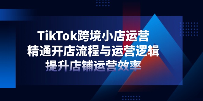 TikTok跨境小店运营，精通开店流程与运营逻辑，提升店铺运营效率-蚂蚁汇资源分享项目网