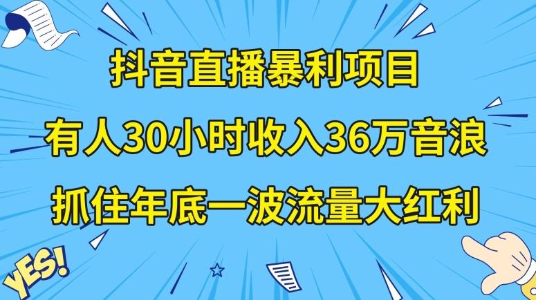 抖音直播暴利项目，有人30小时收入36万音浪，公司宣传片年会视频制作，抓住年底一波流量大红利【揭秘】-蚂蚁汇资源分享项目网