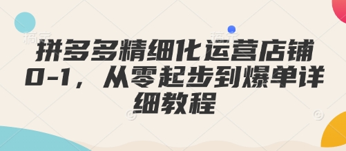 拼多多精细化运营店铺0-1，从零起步到爆单详细教程-蚂蚁汇资源分享项目网