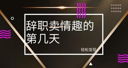 冷门赛道，辞职卖情趣的第几天，超暴力项目-蚂蚁汇资源分享项目网