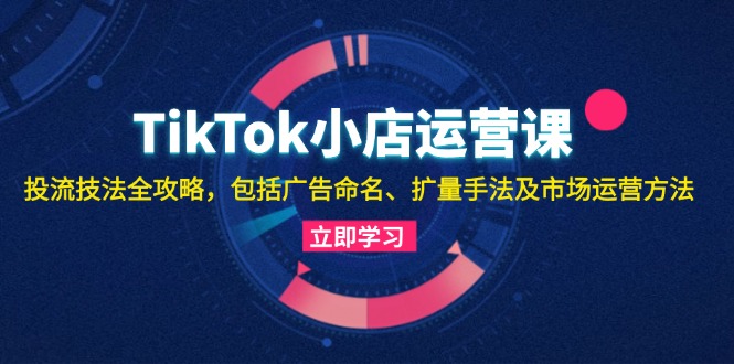 TikTok小店运营课：投流技法全攻略，包括广告命名 扩量手法及市场运营方法-蚂蚁汇资源分享项目网
