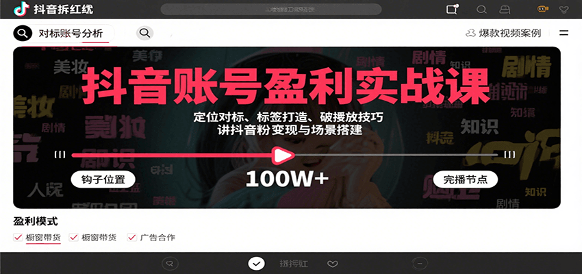 抖音账号盈利实战课，定位对标、标签打造、破播放技巧，讲涨粉变现与场景搭建-蚂蚁汇资源分享项目网