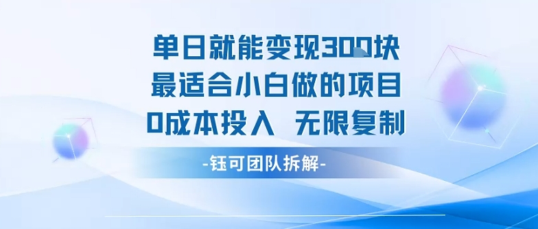 单日就能变现3张最适合小白做的项目0成本投入 无限复制-蚂蚁汇资源分享项目网
