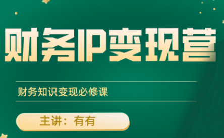 有有老师·财务IP变现营，财务知识变现必修课-蚂蚁汇资源分享项目网