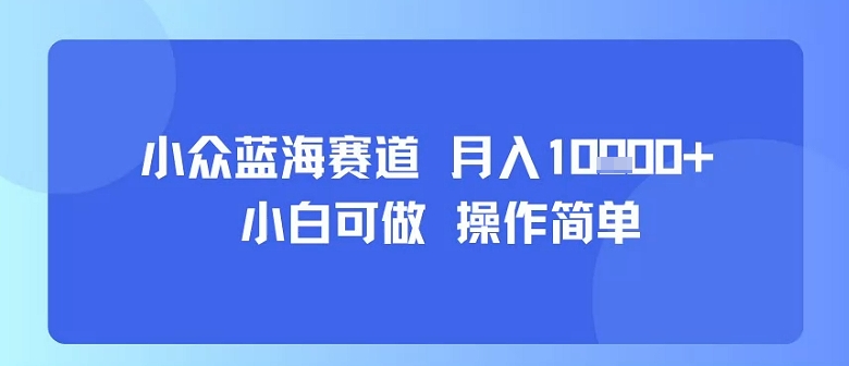 小众蓝海赛道，小白可做，操作简单，每天30分钟，月入1W+-蚂蚁汇资源分享项目网