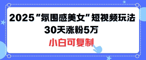 不露脸也能火！2025“氛围感美女”短视频玩法，30天涨粉5W小白可复制-蚂蚁汇资源分享项目网