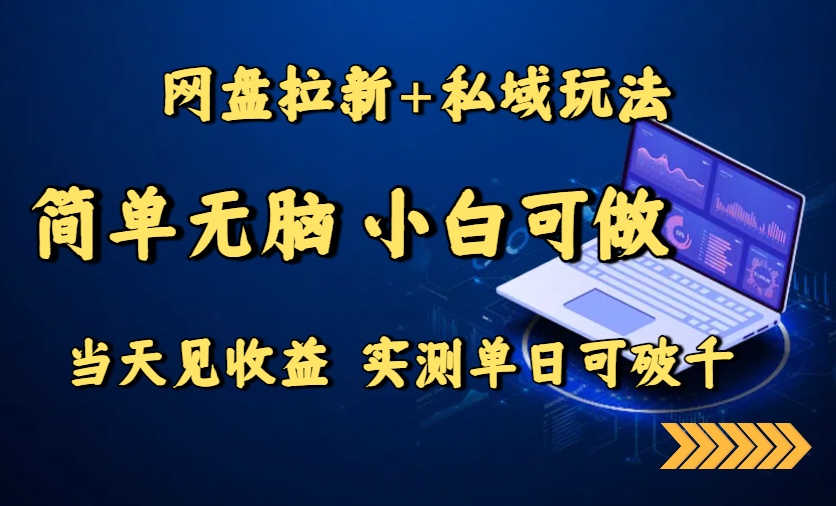 网盘拉新+私域玩法，简单无脑，小白可做，当天见收益，实测单日可破千-蚂蚁汇资源分享项目网