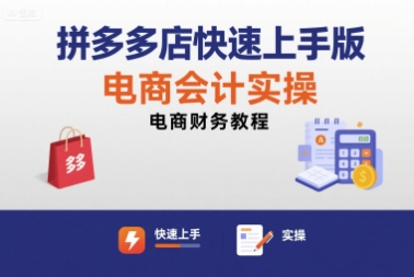 拼多多店快速上手版电商会计实操-电商财务教程-蚂蚁汇资源分享项目网