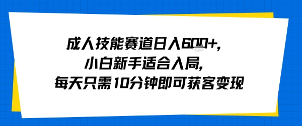 成人技能赛道日入多张，小白新手适合入局，每天只需10分钟即可获客变现-蚂蚁汇资源分享项目网