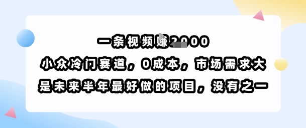 一条视频挣1k，小众冷门赛道，0成本，市场需求大，是未来半年最好做的项目，没有之一-蚂蚁汇资源分享项目网