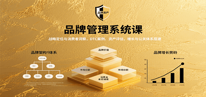 品牌管理系统课：战略定位与消费者洞察，DTC案例、资产评估，增长与公关体系搭建-蚂蚁汇资源分享项目网