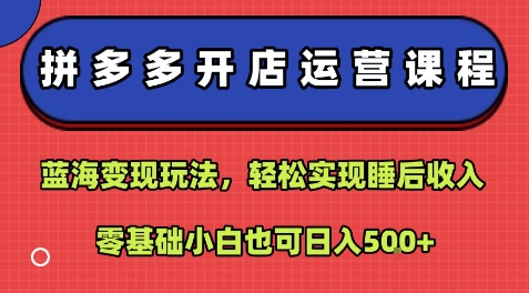 拼多多开店运营课程：蓝海变现玩法，轻松实现睡后收入，零基础小白也可日入5张-蚂蚁汇资源分享项目网