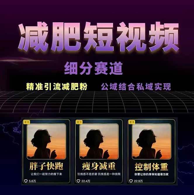 图片[2]-减肥短视频运营实战课：含素材制作、剪映教学，讲精准引流、变现设计与内容模板技巧-蚂蚁汇资源分享项目网