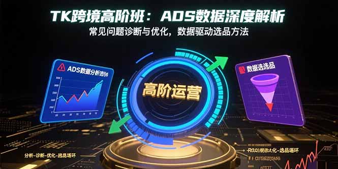 TK跨境高阶班：ADS数据深度解析，常见问题诊断与优化，数据驱动选品方法-蚂蚁汇资源分享项目网