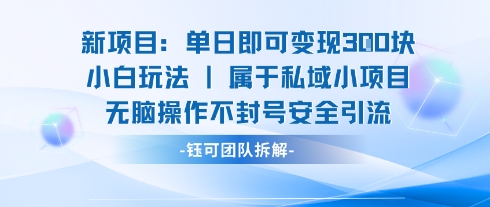 新项目单日即可变现3张的小白玩法无脑操作不封号安全引流-蚂蚁汇资源分享项目网