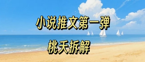 小说推文项目操作全流程第一弹，0粉就能做，门槛低非常适合新手-蚂蚁汇资源分享项目网