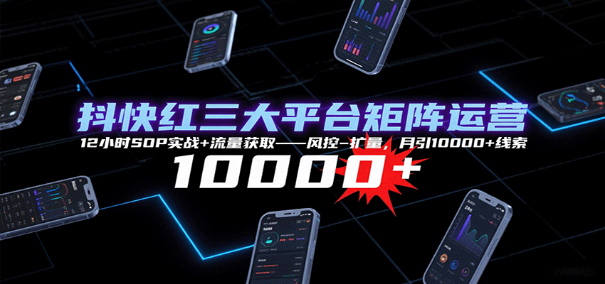 抖快红三大平台矩阵运营，12小时SOP实战+流量获取-风控-扩量，月引10000+线索-蚂蚁汇资源分享项目网