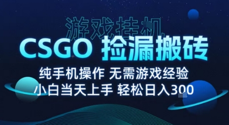8月最新游戏搬砖，CSGO纯挂G，不需要玩游戏，实现真挂G，月入1W+【揭秘】-蚂蚁汇资源分享项目网