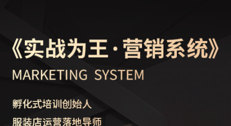 老杨·服装老板必修课《实战为王-营销系统》实现业绩被动式增长-蚂蚁汇资源分享项目网