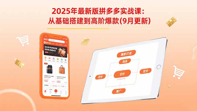 2025年最新版拼多多实战课：从基础搭建到高阶爆款(9月更新-蚂蚁汇资源分享项目网