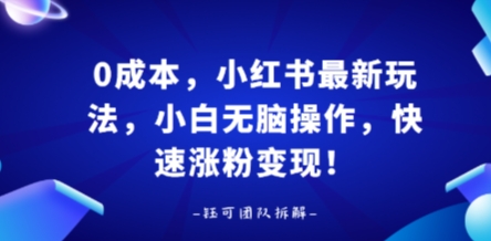 0成本，小红书最新玩法，小白无脑操作，快速涨粉变现-蚂蚁汇资源分享项目网