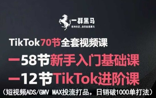 TikTok全套视频课，新手入门+进阶课，短视频ADS-GMV MAX投流打品，日销破1000单打法-蚂蚁汇资源分享项目网