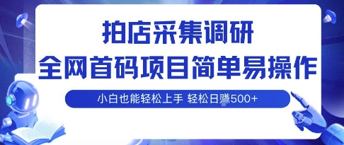 拍店采集调研,全网首码项目,简单易操作, 小白也能轻松上手,多账号操作,轻松日入5张【揭秘】