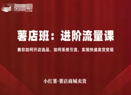 小红薯薯店商城卖货，进阶流量课，教你如何开店选品、如何系统引流，实现快速卖货变现-蚂蚁汇资源分享项目网